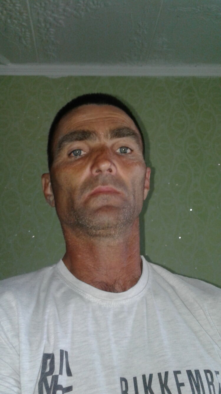  28978359  , 40 ,    