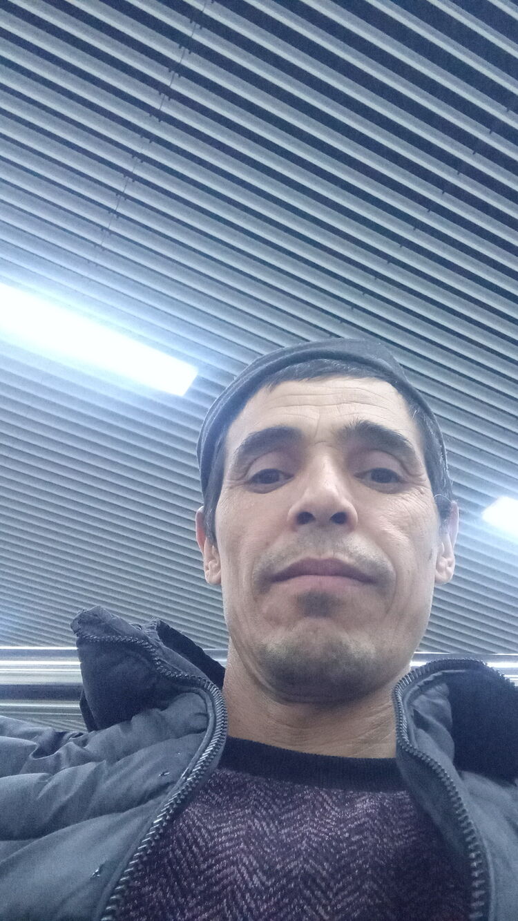  33207619  , 43 ,    --