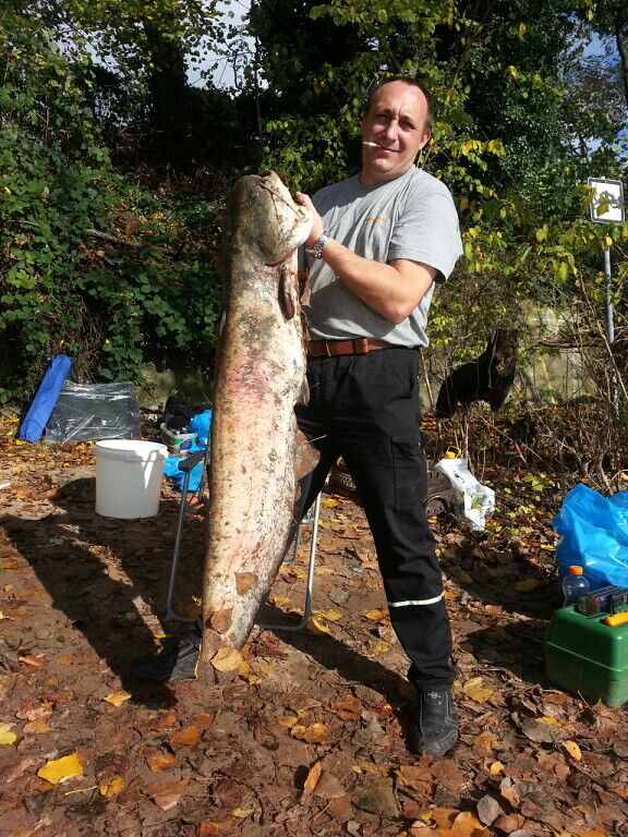  Kassel,   , 46 ,   ,   