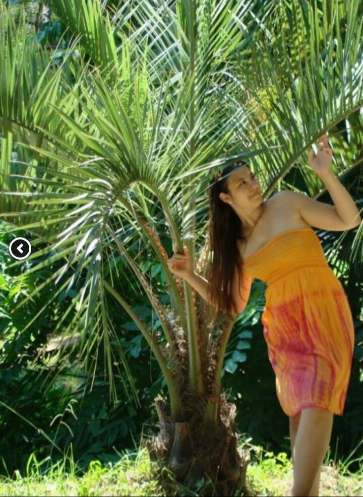 ���������� ������, ���� ������� ��������, 36 ���, ������������ ��� ������, ����� � ���������