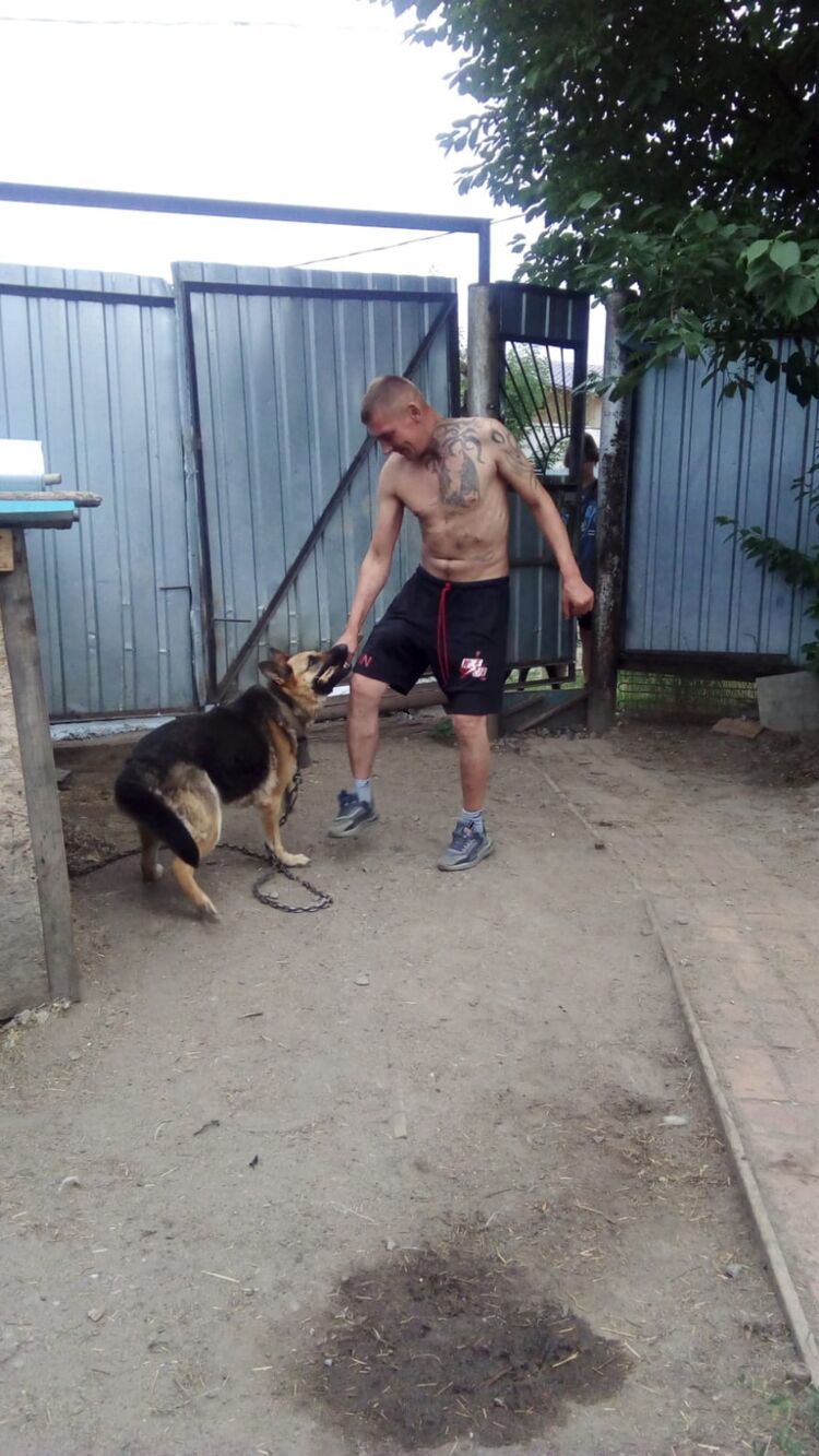 ���������� ���������, ���� ������� �����, 38 ���, ������������ ��� ������, ����� � ���������