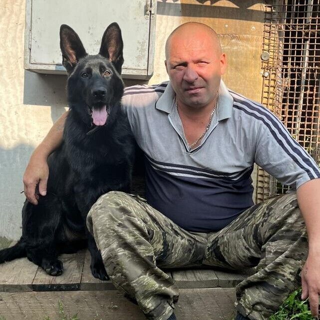 ���������� ���������, ���� ������� ������, 46 ���, ������������ ��� ������, ����� � ���������