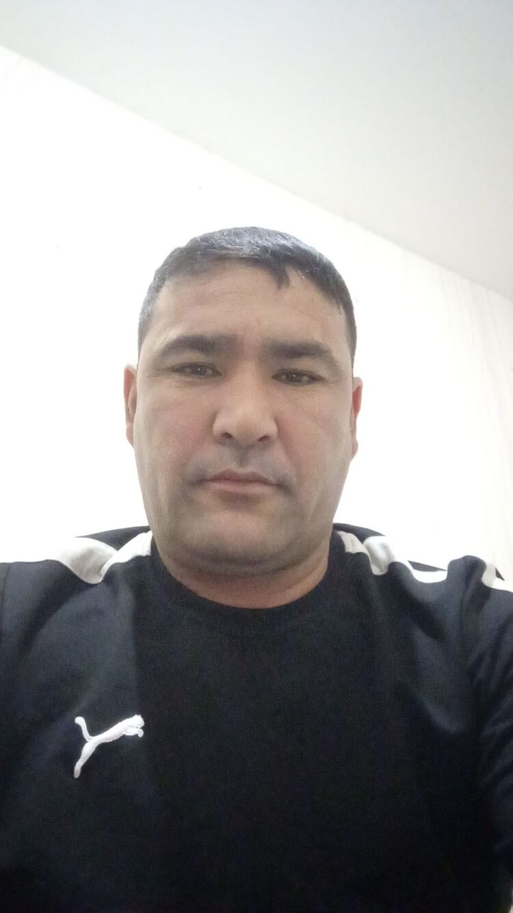 41548869  , 40 ,    