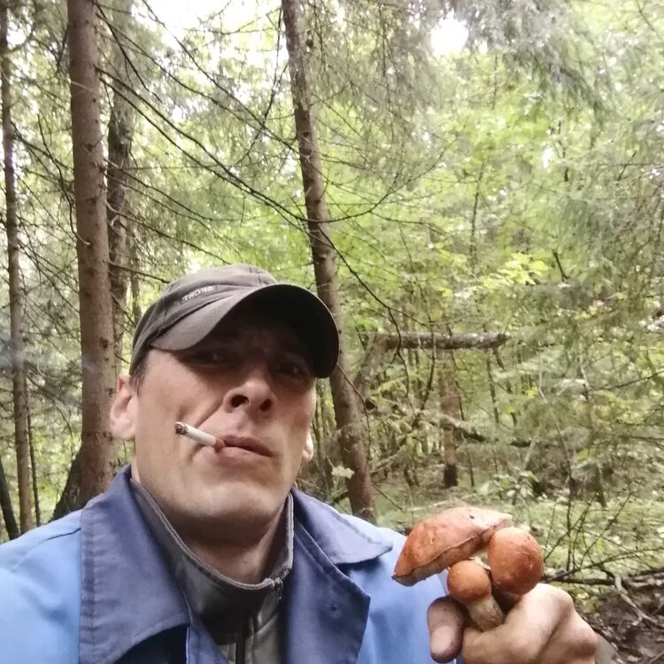  ,   , 41 ,   c 