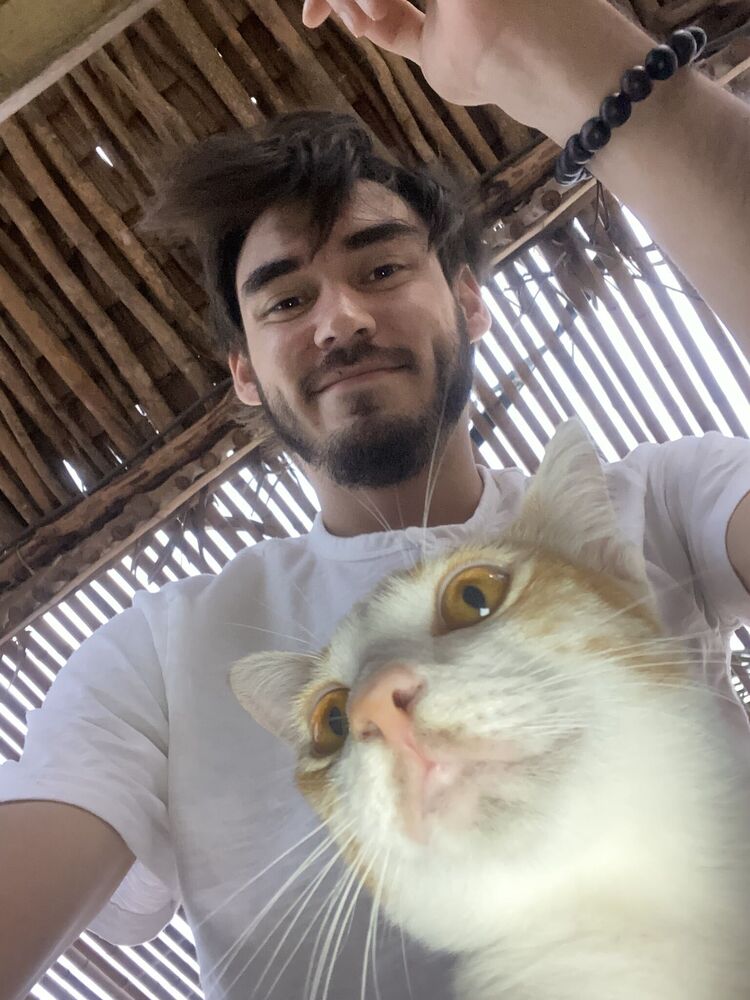 ���� 55469179 ������� ������, 28 ���, ���� ���������� � ����������