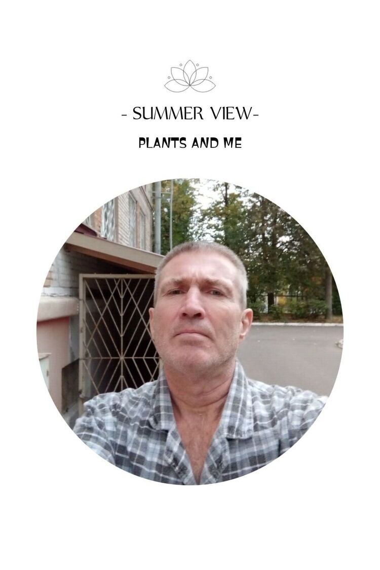  29482189  , 56 ,    