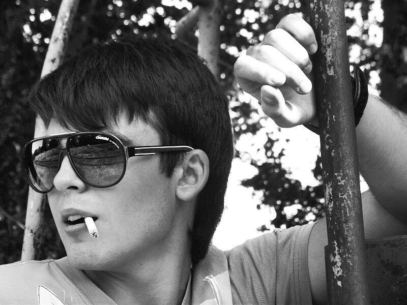 ���� 11949299 ������� ����, 33 ����, ���� ���������� � ���������