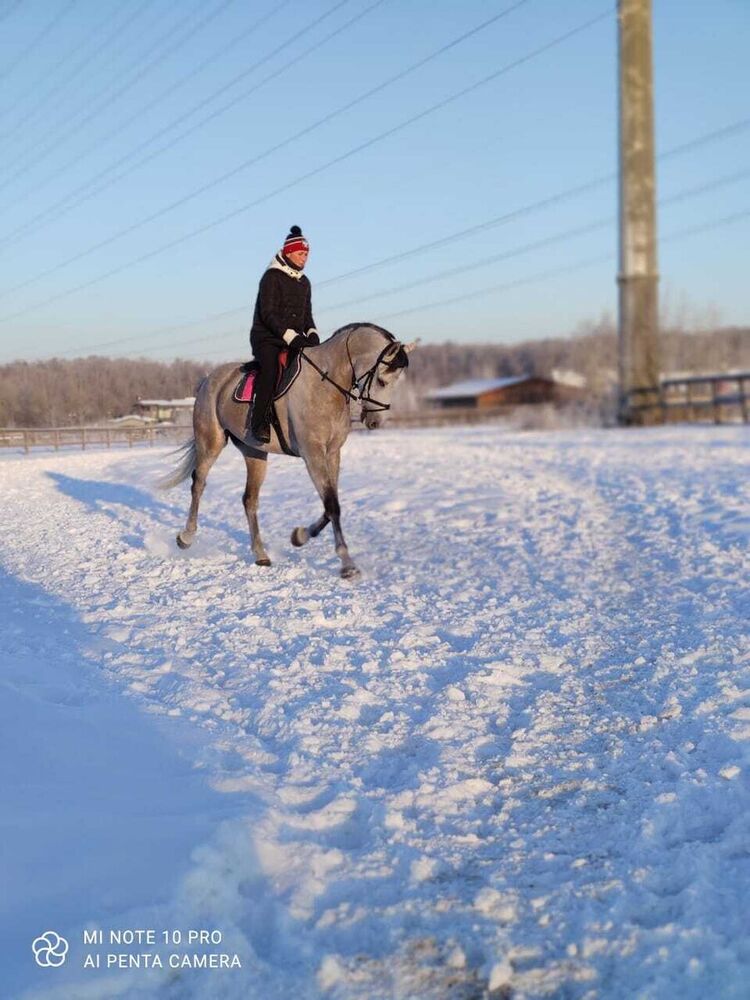 ���������� ������, ���� ������� �����, 44 ����, ������������ ��� ������, ����� � ���������