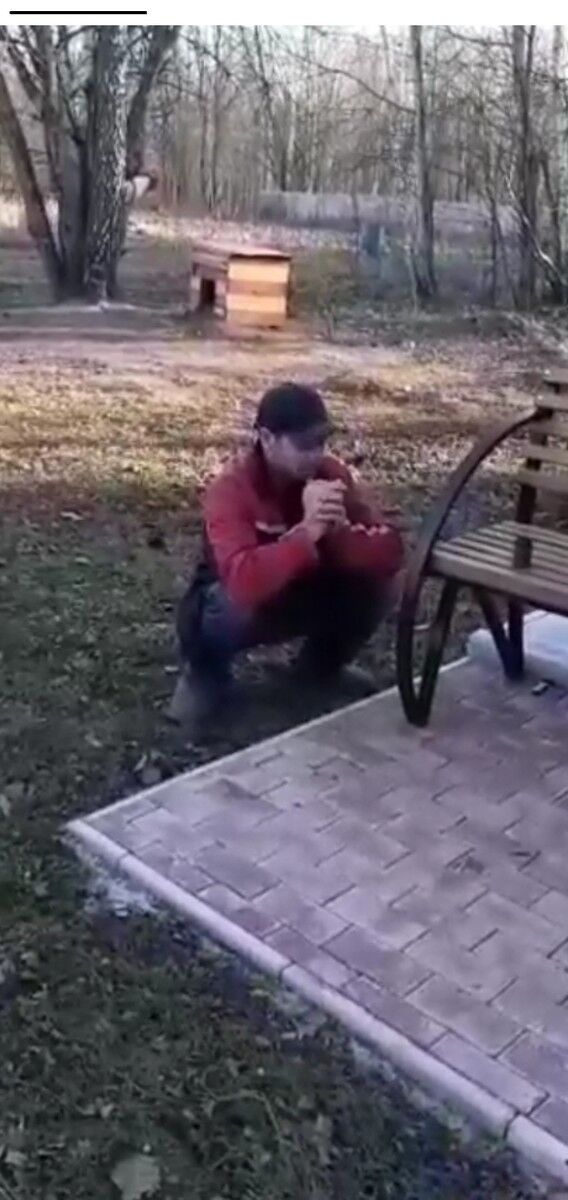 ���� 18231049 ������� �������, 36 ���, ���� ���������� � ���������