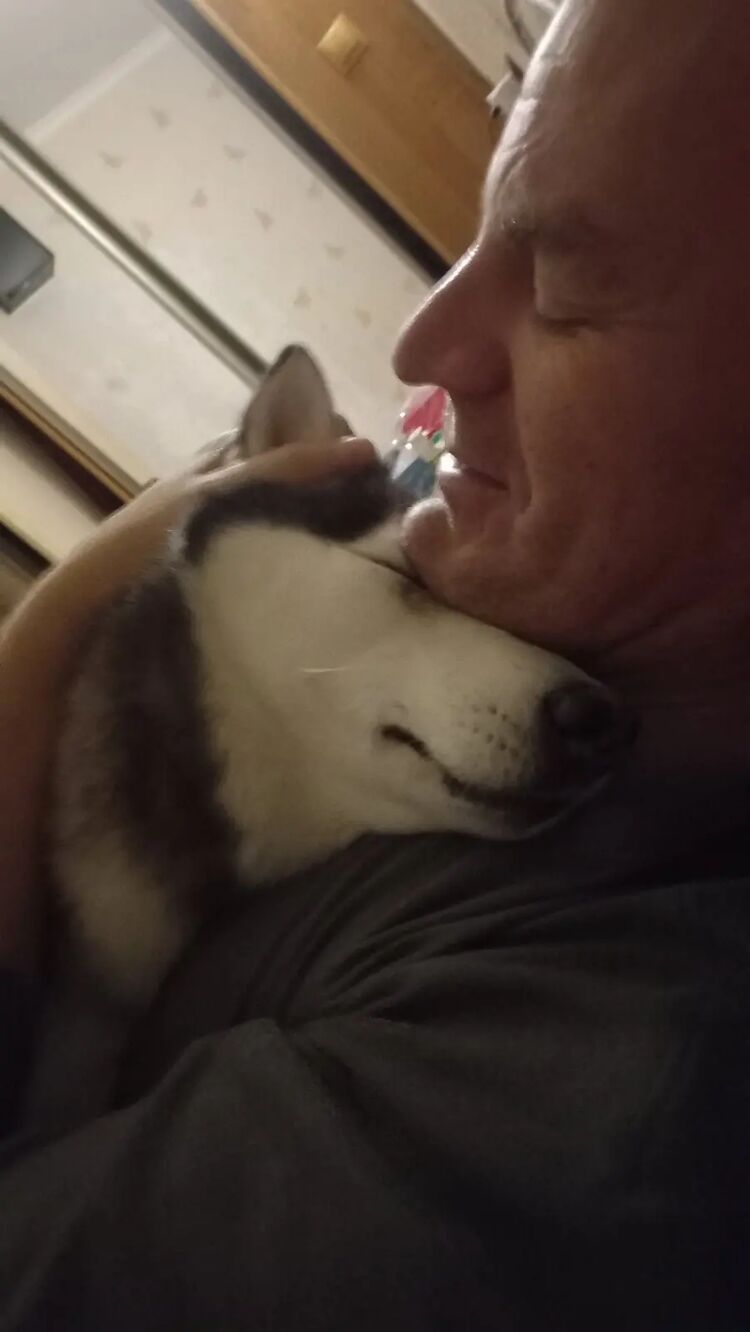 ���������� �����, ���� ������� ������, 53 ����, ������������ ��� ������, ���������