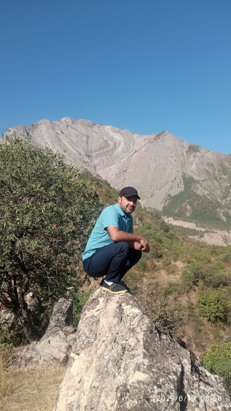  40583229   , 40 ,    