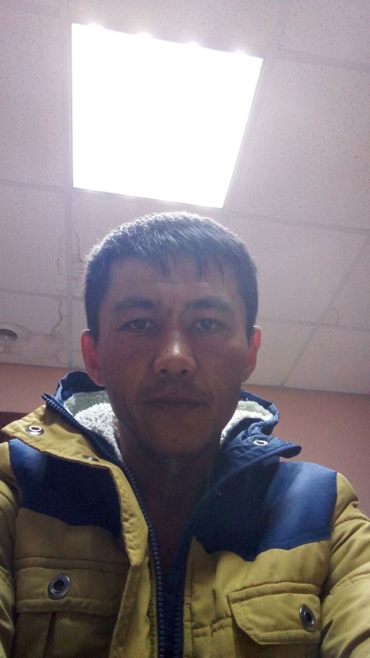  45931769  , 31 ,    