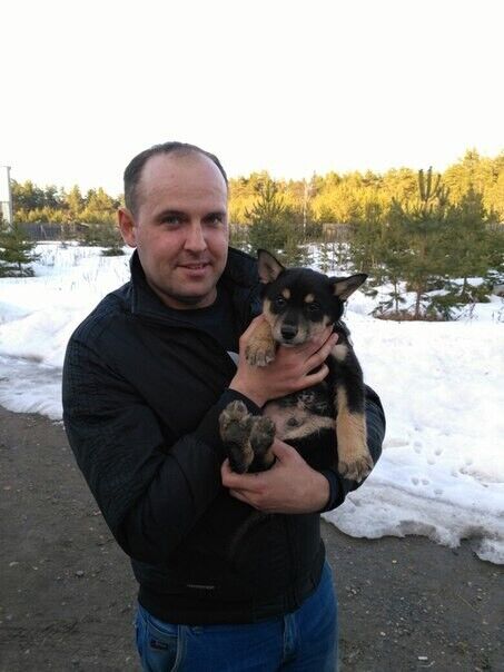 ���������� ��������������, ���� ������� ����, 36 ���, ������������ ��� ������, ����� � ���������, c�������� ���������, ���������