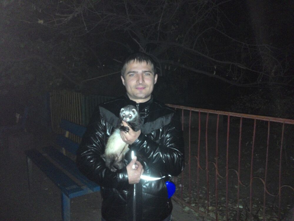 ���������� �����������, ���� ������� ��������, 38 ���, ������������ ��� ������, ����� � ���������, c�������� ���������