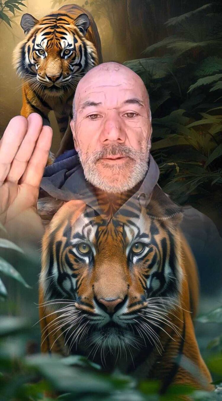  ,   , 49 ,   ,   , c 