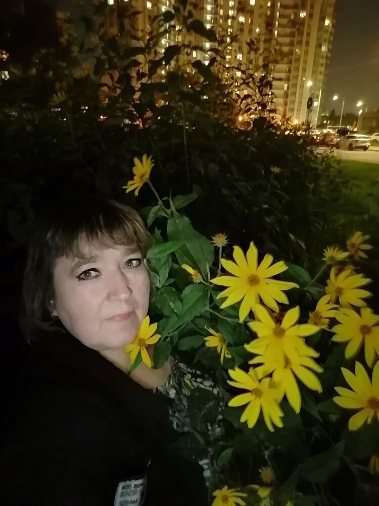  53620359  , 55 ,    -