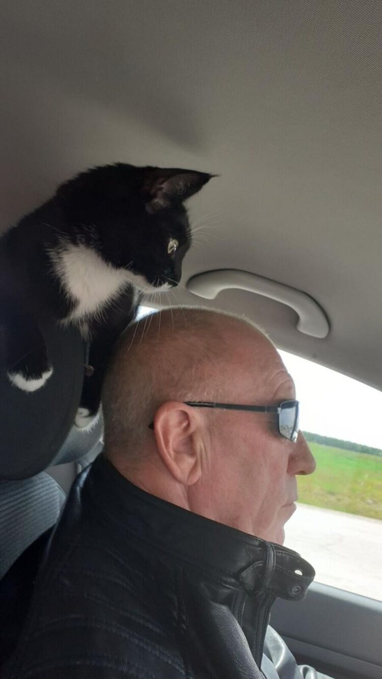 ���������� ����� �����, ���� ������� ���������, 70 ���, ������������ ��� ������, ����� � ���������