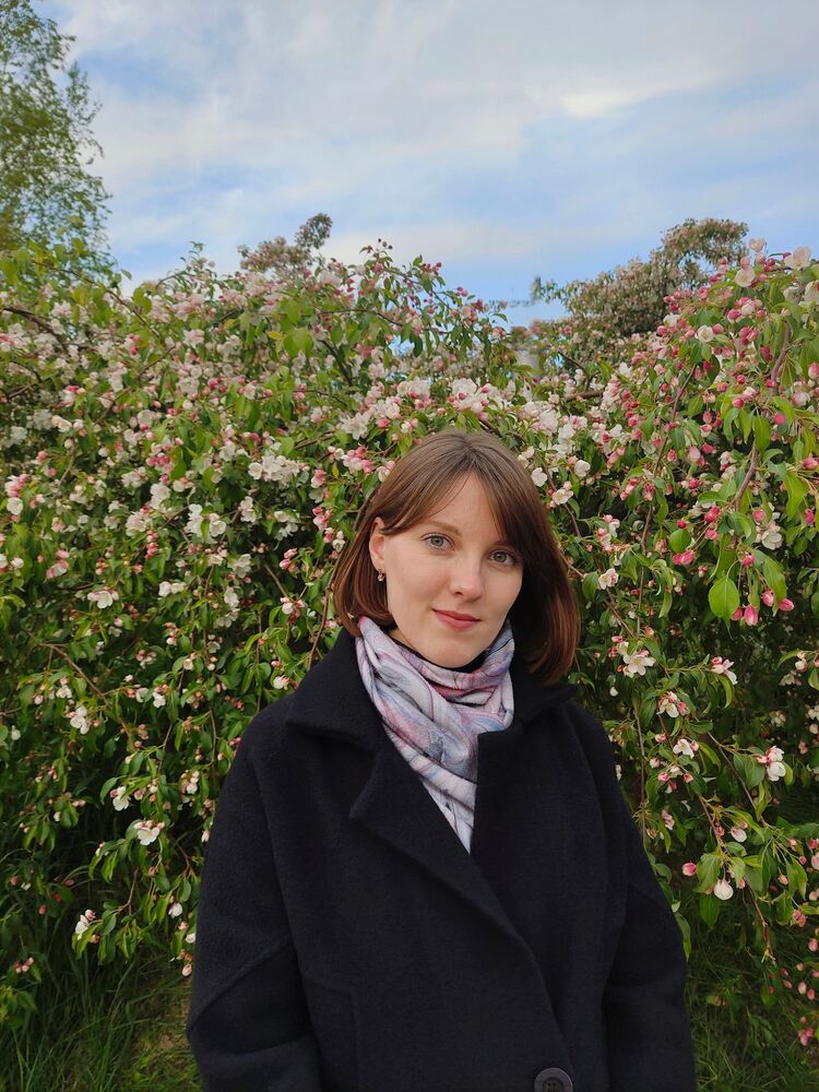 ���������� ��������, ���� ������� ���, 29 ���, ������������ ��� ������, ����� � ���������