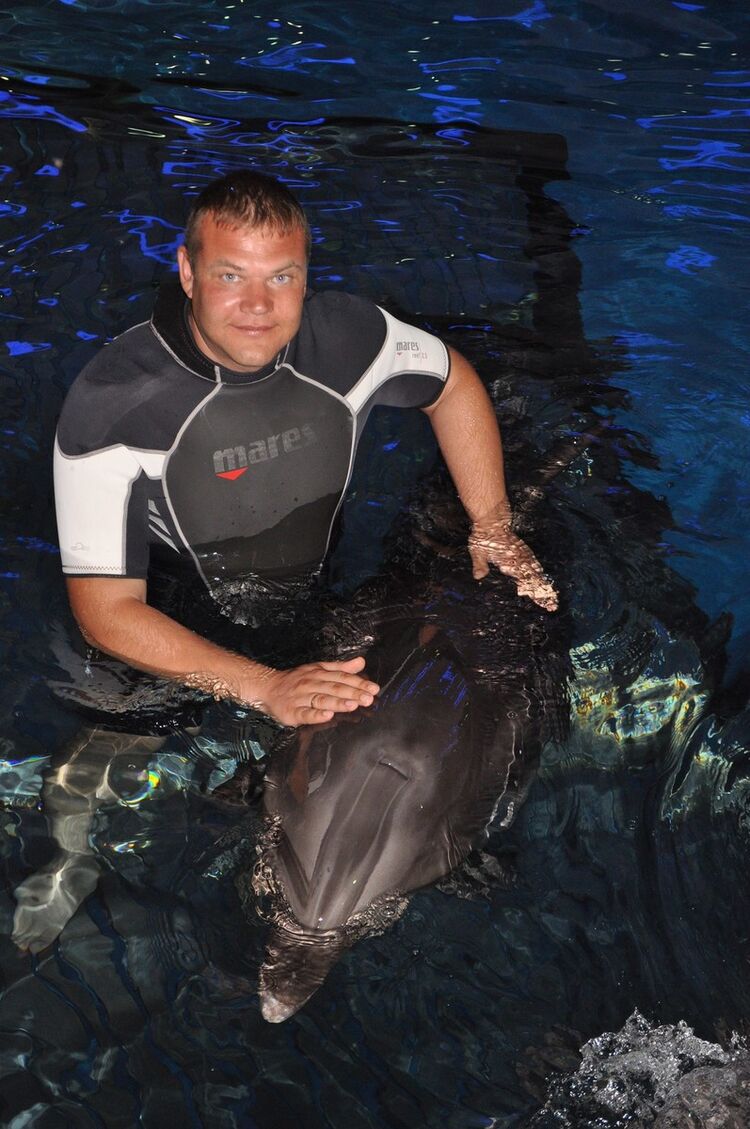 ���� 19814999 ������� �������, 49 ���, ���� ���������� � ������