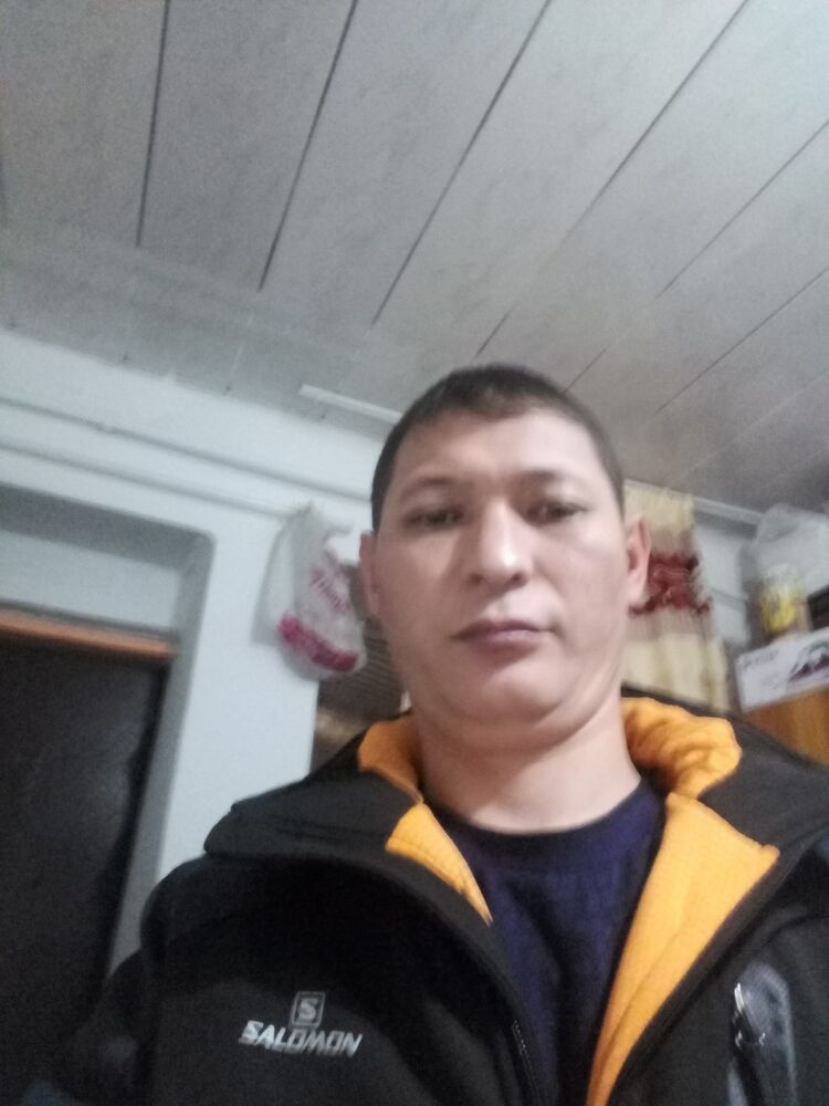 ���� 18006069 ������� Gala, 41 ���, ���� ���������� � ������