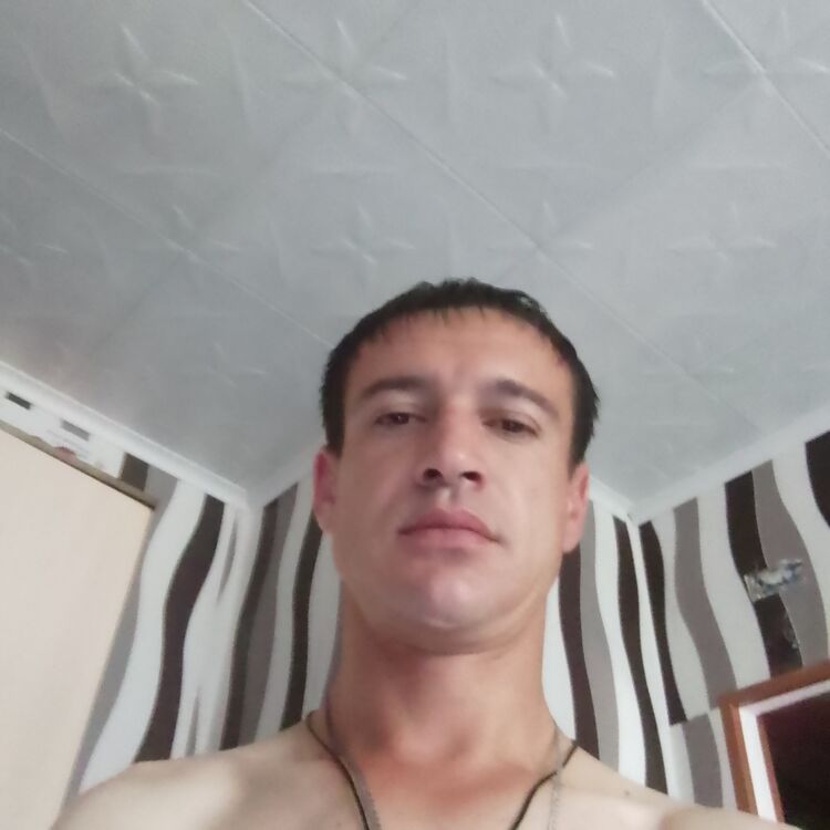 46406089  , 36 ,    