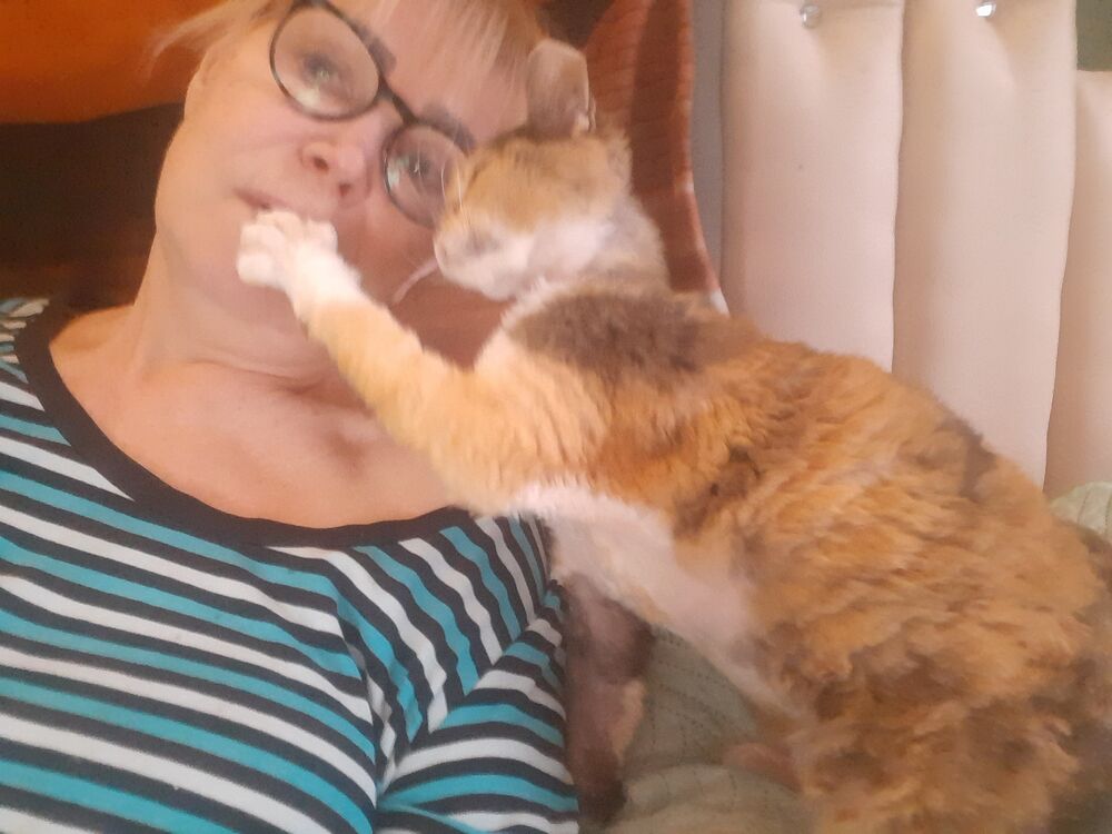  54777579  , 62 ,    -