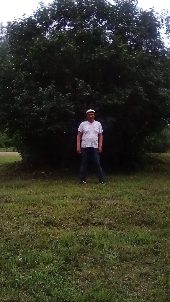  ,   , 55 ,   c , 