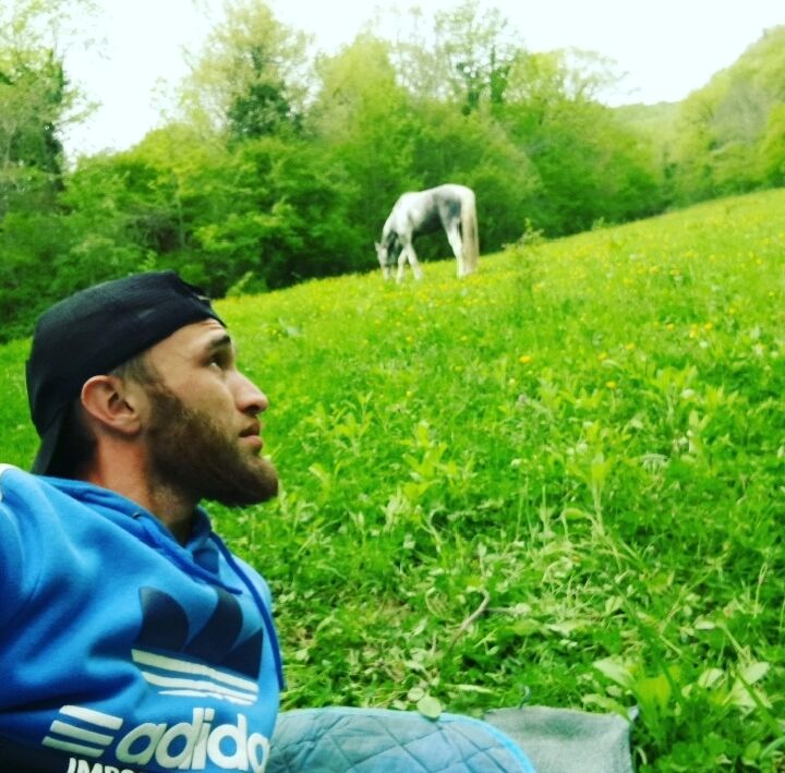  ,   , 33 ,   , 