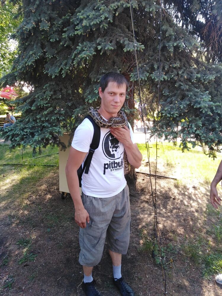 ���� 44466379 ������� ����, 34 ����, ���� ���������� � �����������