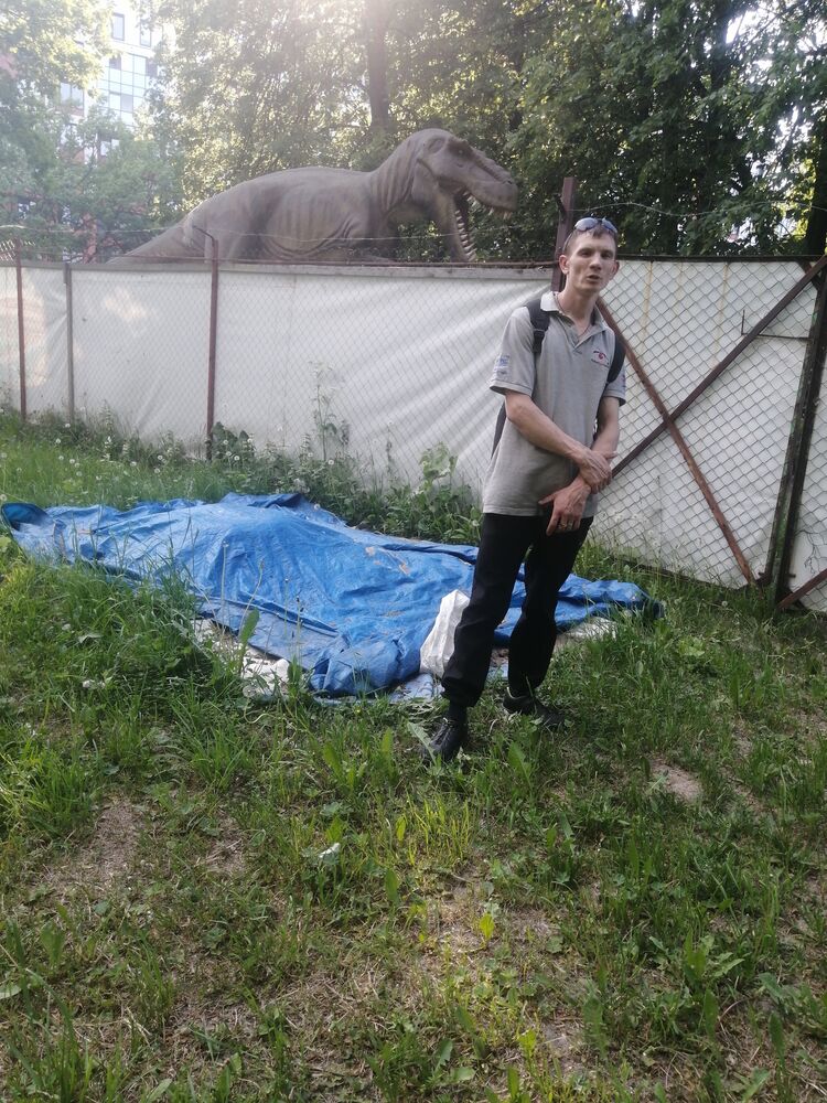  43570609  , 31 ,    -