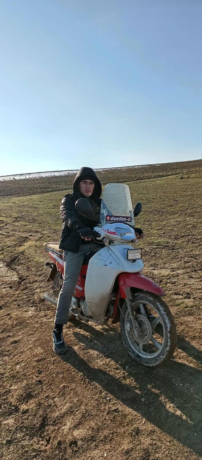  49807849  , 25 ,    