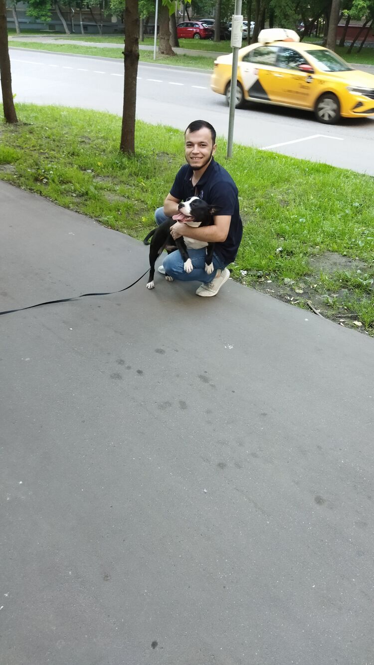 ���� 27225259 ����� ����, 24 ����, ���� ���������� � ������