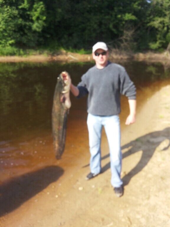 ���� 52800649 ������� ����, 50 ���, ���� ���������� � ���������