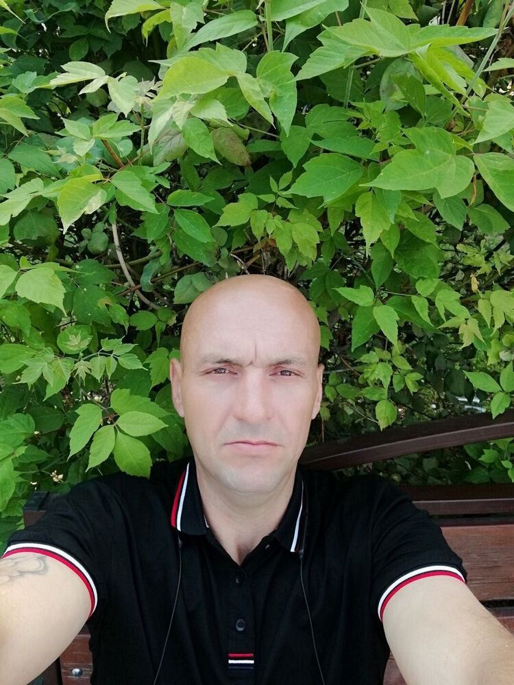  ,   , 43 ,   , 