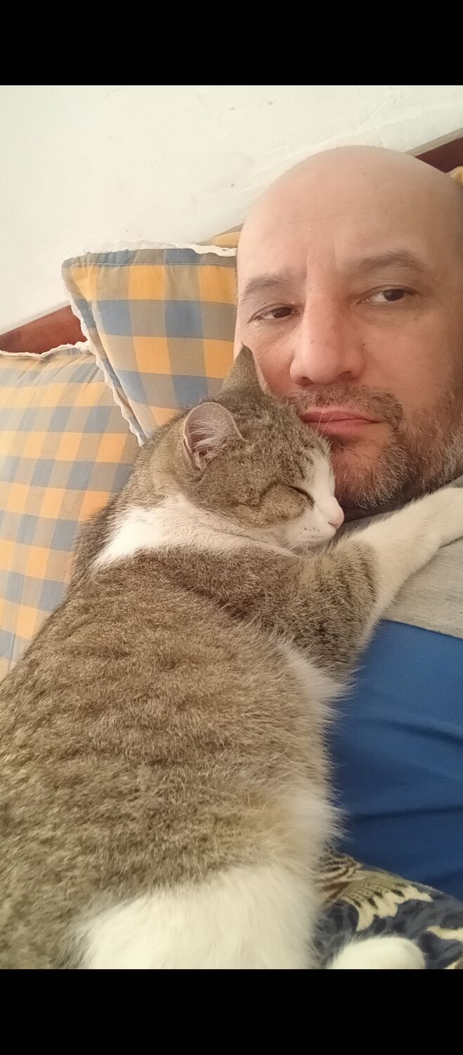 ���� 56200239 ������� �����, 46 ���, ���� ���������� � ��������