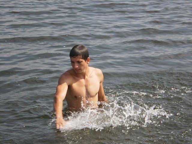  26480269  , 37 ,    