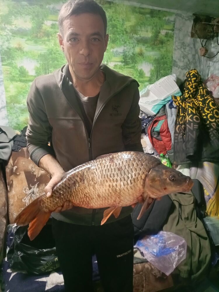 ���� 55057649 ������� ���������, 39 ���, ���� ���������� � ������