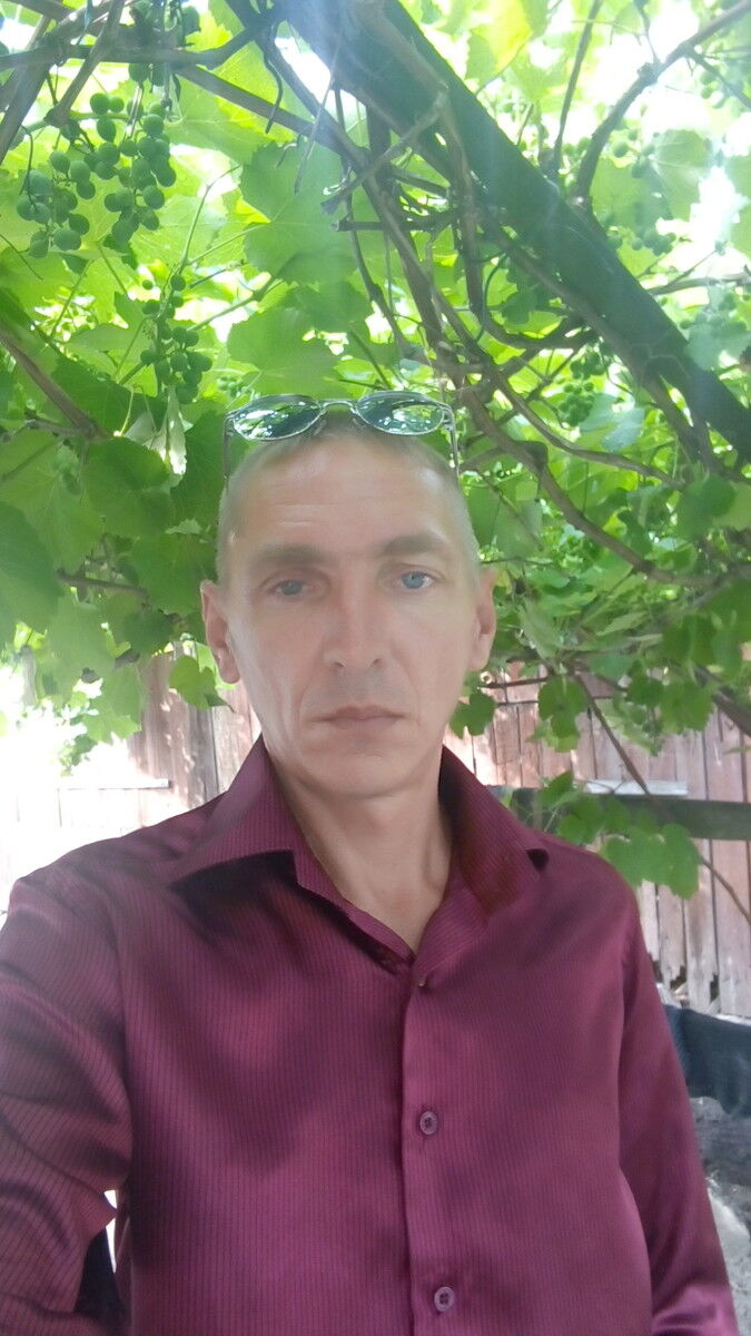 ,   BORDO, 50 ,     , c 
