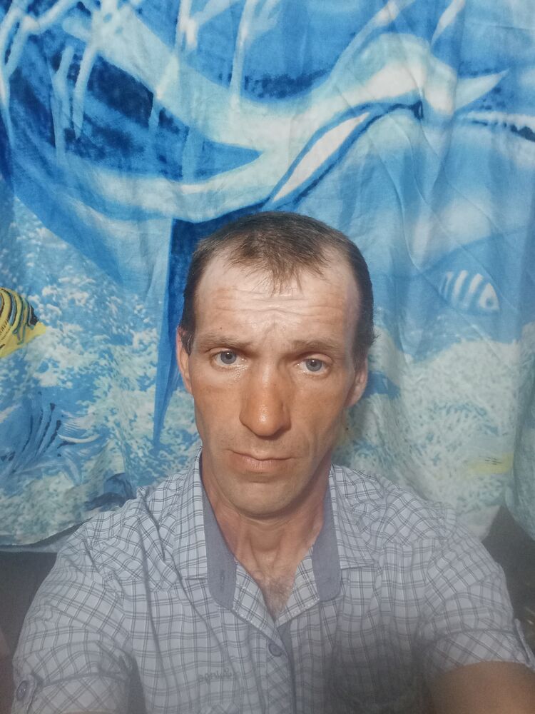  46047169  , 37 ,    