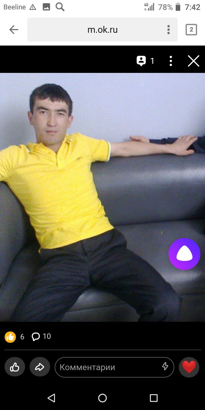  26440989  , 37 ,    