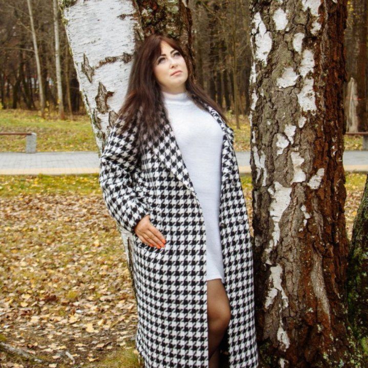 ���� 55836079 ������� �������, 48 ���, ���� ���������� � ���������