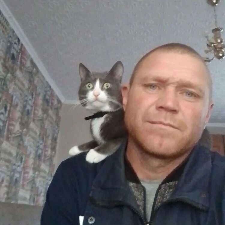  54578289  , 39 ,    -