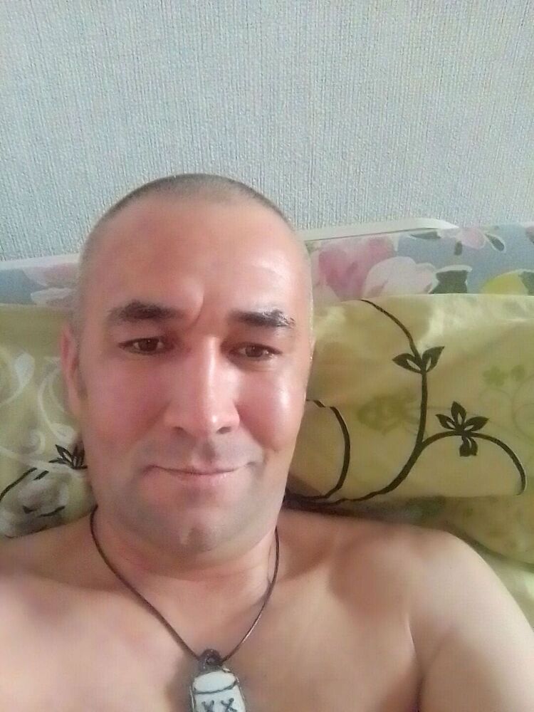  43166869  , 44 ,     