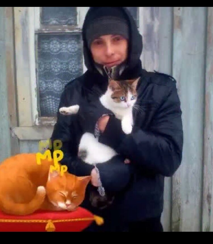  44974279  , 38 ,    