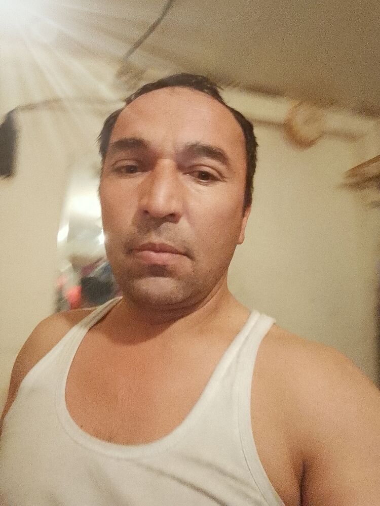  43015759  , 44 ,    