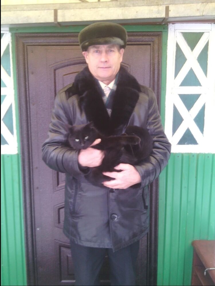 ���� 56058169 ������� ���������, 67 ���, ���� ���������� � �������