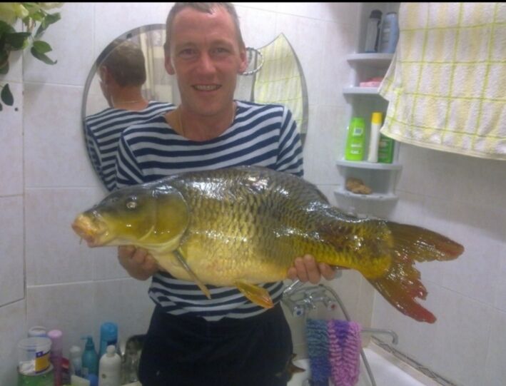 ���� 38781799 ������� �����, 56 ���, ���� ���������� � ������