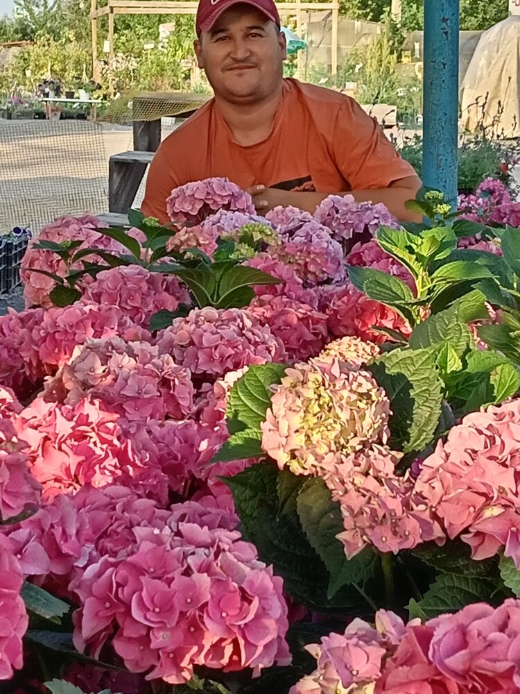 ���������� ���������, ���� ������� ����, 36 ���, ������������ ��� ������, ����� � ���������