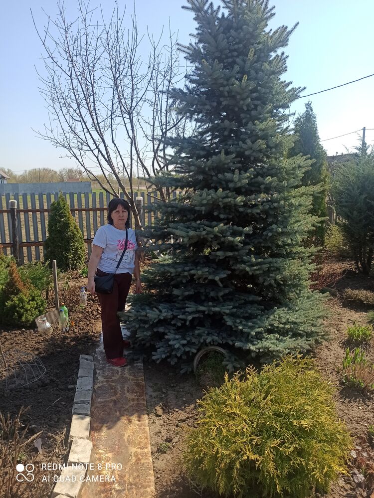 ���������� ������, ���� ������� �������, 52 ����, ������������ ��� ����� � ���������, c�������� ���������