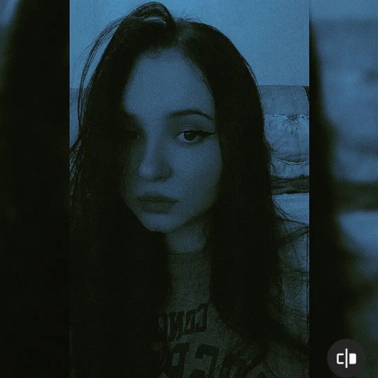 ���� 26593709 ������� ������, 24 ����, ���� ���������� � ������